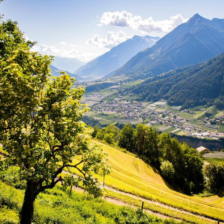Lechnerhof Appartement Alpenrose - Appartamento Superior con 1 Camera da Letto e Balcone - 5