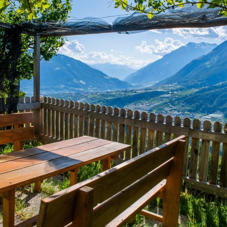 Lechnerhof Appartement Alpenrose - Appartamento Superior con 1 Camera da Letto e Balcone - 9