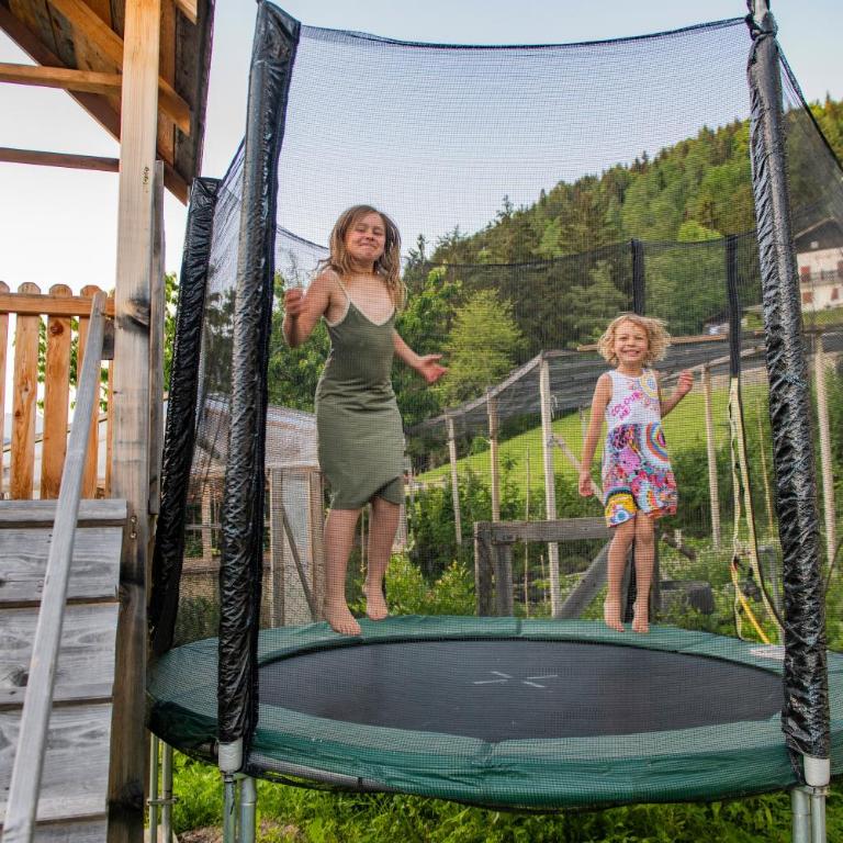 Lechnerhof Appartement Alpenrose - Appartamento Superior con 1 Camera da Letto e Balcone - 36