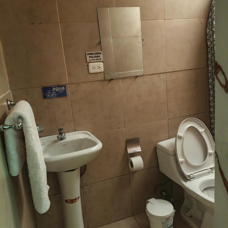 Hostal Dylan - Single Room - 4