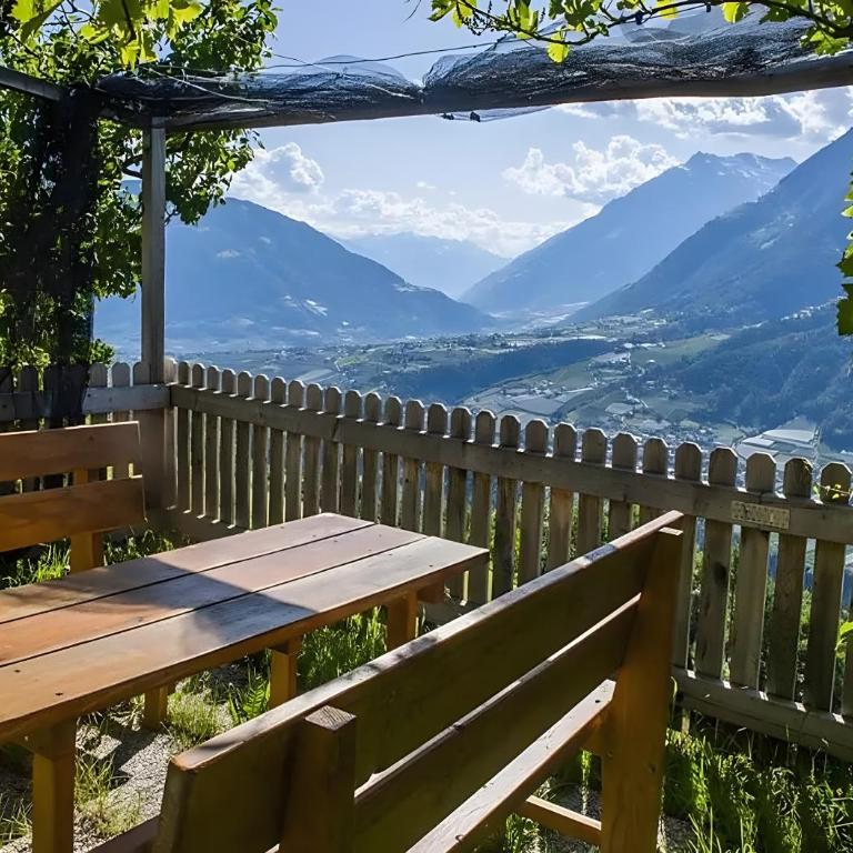 Lechnerhof Appartement Alpenrose - Appartamento Superior con 1 Camera da Letto e Balcone - 9