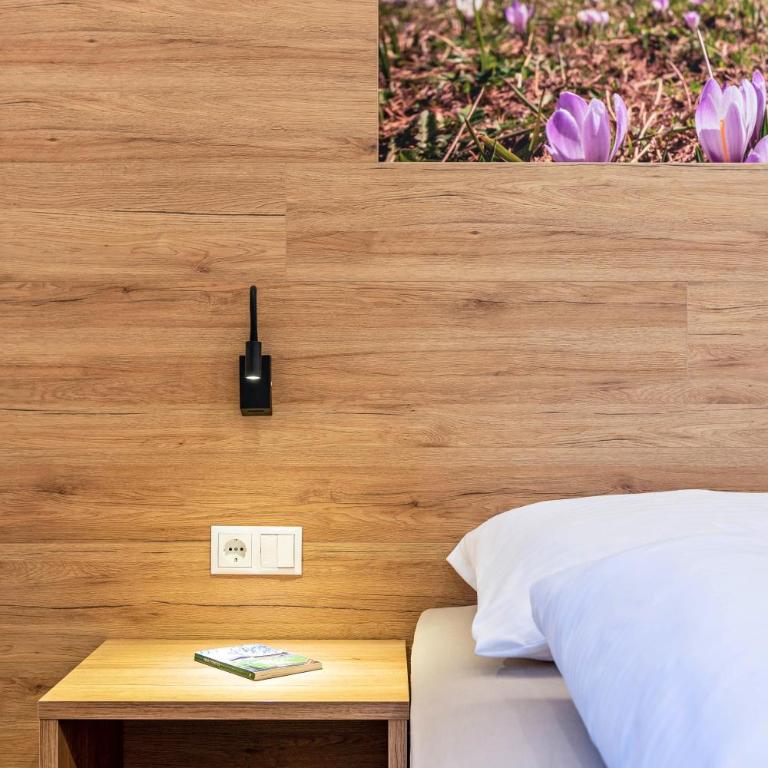 Aster Moments Apt Moritz - Apartment with Terrace - 11