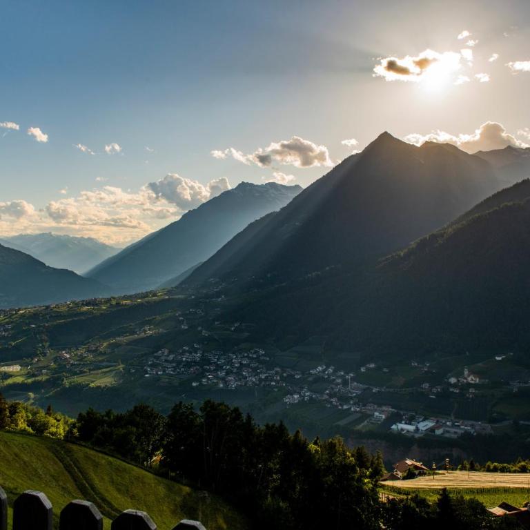 Lechnerhof Appartement Alpenrose - Appartamento Superior con 1 Camera da Letto e Balcone - 40