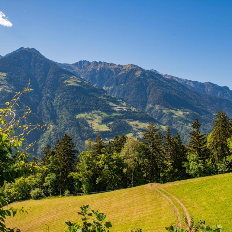 Lechnerhof Appartement Alpenrose - Appartamento Superior con 1 Camera da Letto e Balcone - 30