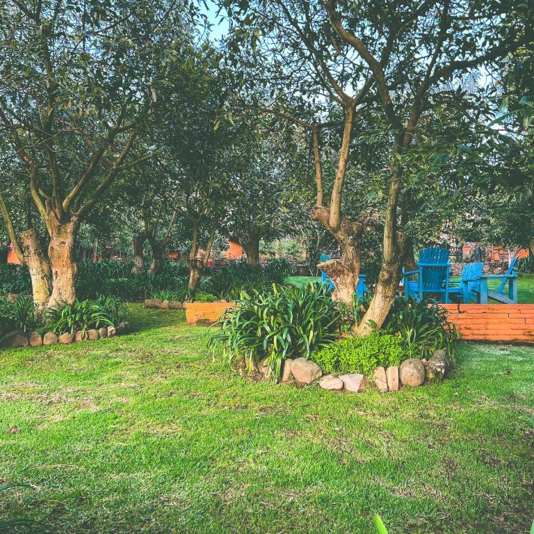La Huerta - Chalet (2 adultos) - 31