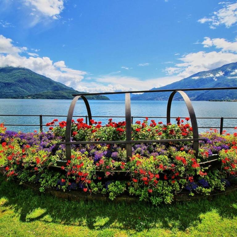 Lake view Domaso - Appartamento Superior con 1 Camera da Letto e Balcone - 23