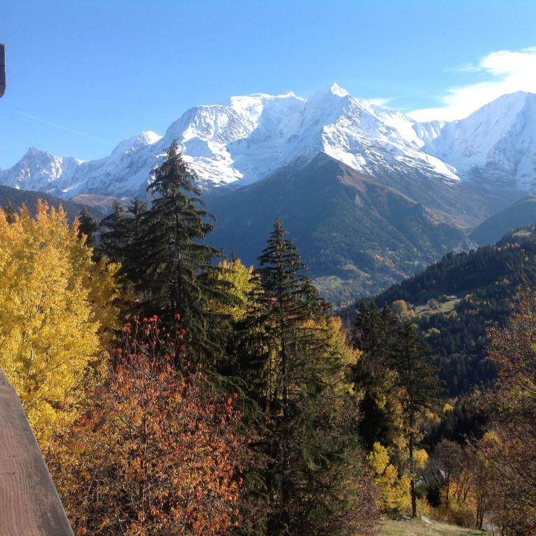Appartement vue Mont Blanc - Superior One-Bedroom Apartment with Balcony - 21