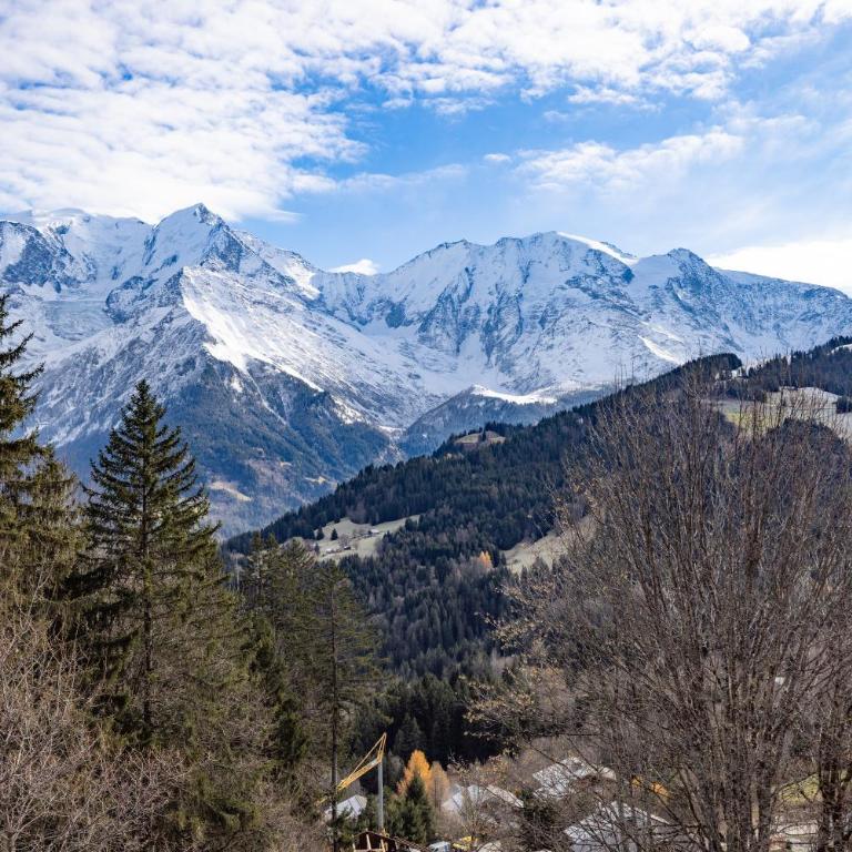 Appartement vue Mont Blanc - Superior One-Bedroom Apartment with Balcony - 4