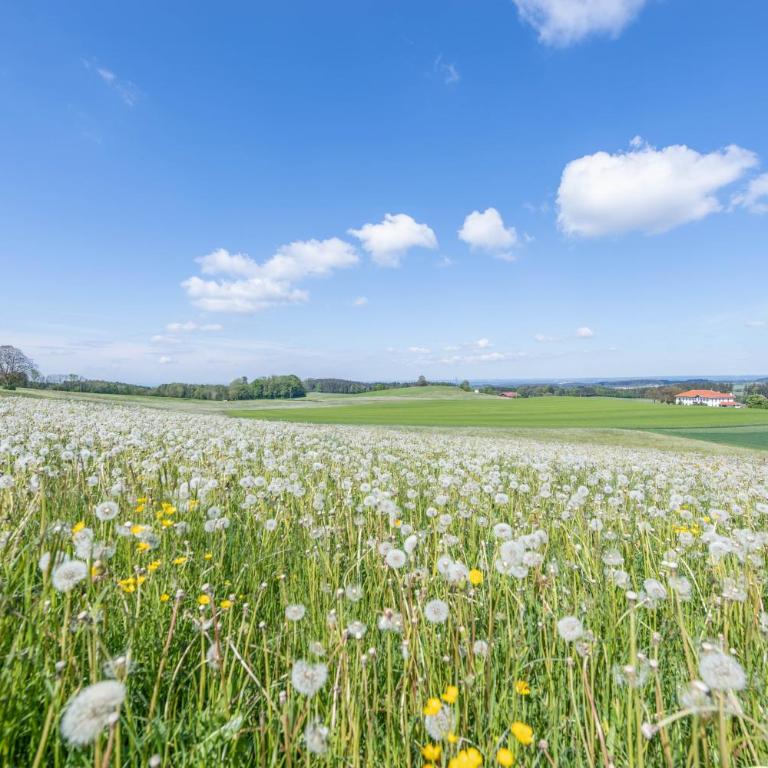 Luisalle Top 2 - Apartment mit 2 Schlafzimmern und Bergblick - 26