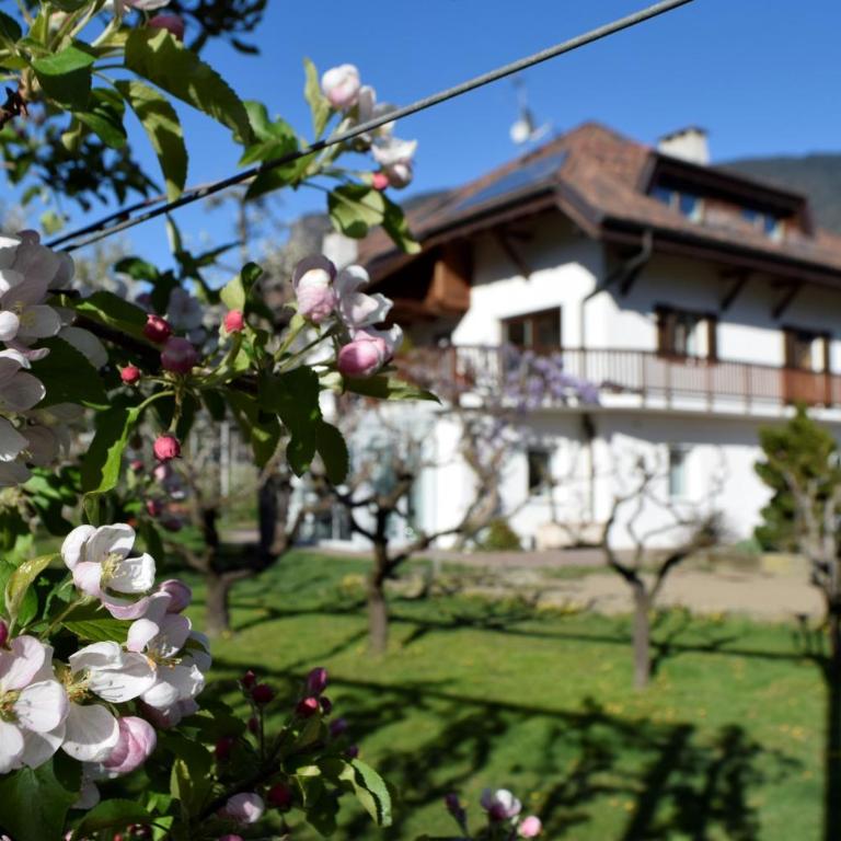 Appartment Gut Wendlandt - Appartamento con 1 Camera da Letto e Vista Giardino - 8