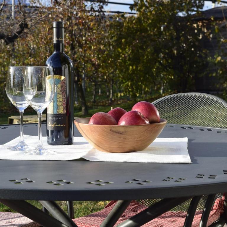 Appartment Gut Wendlandt - Appartamento con 1 Camera da Letto e Vista Giardino - 10