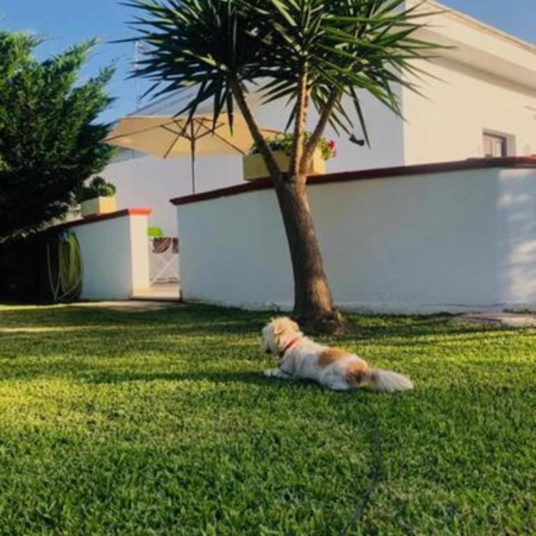 Villino Perla - Villa con Vista Giardino - 15