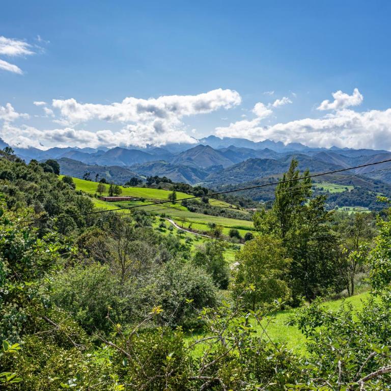 La Casita de Heidi - Habitación Doble con vistas a la montaña - 24