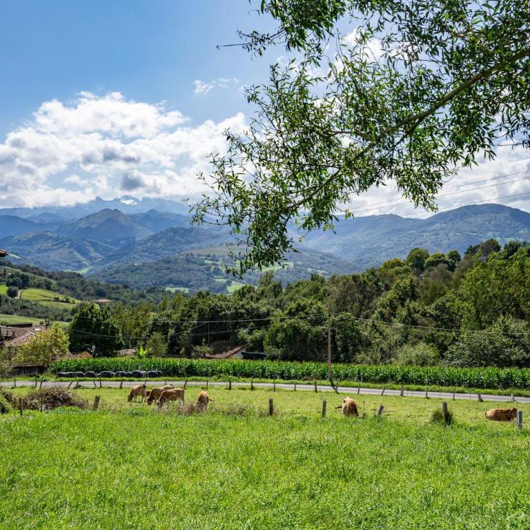 La Casita de Heidi - Habitación Doble con vistas a la montaña - 22