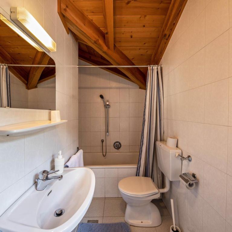 Malgorerhof Pfister - Apartamento Premium de 3 dormitorios con balcón - 14
