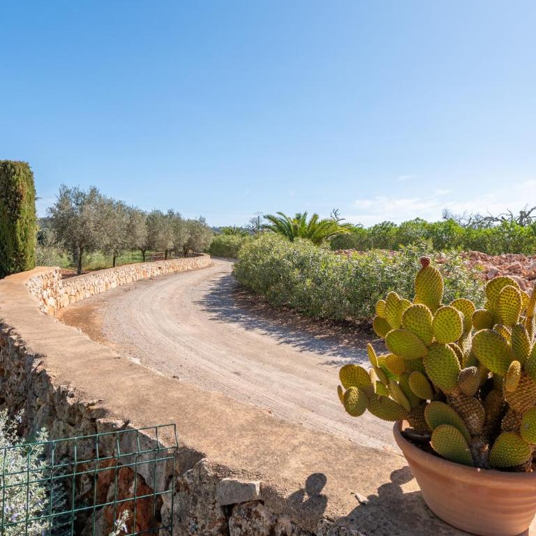 Ses Oliveres - Villa con vistas al jardín - 26