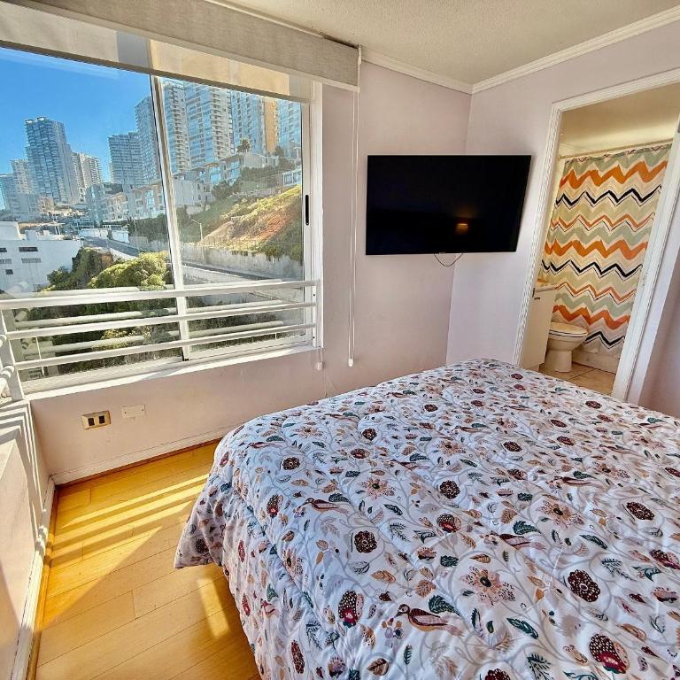 Wonderful view of the sea in front of Cochoa Beach - Apartment - 8