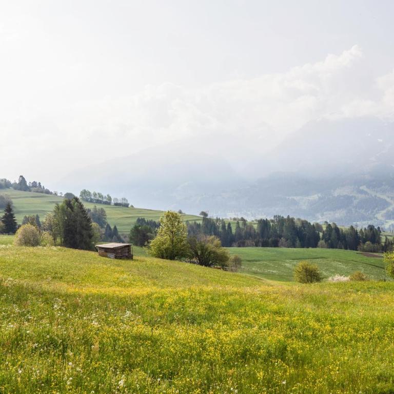 Appartamento Le Coccinelle - Appartamento con 2 Camere da Letto e con Vista Montagna - 22