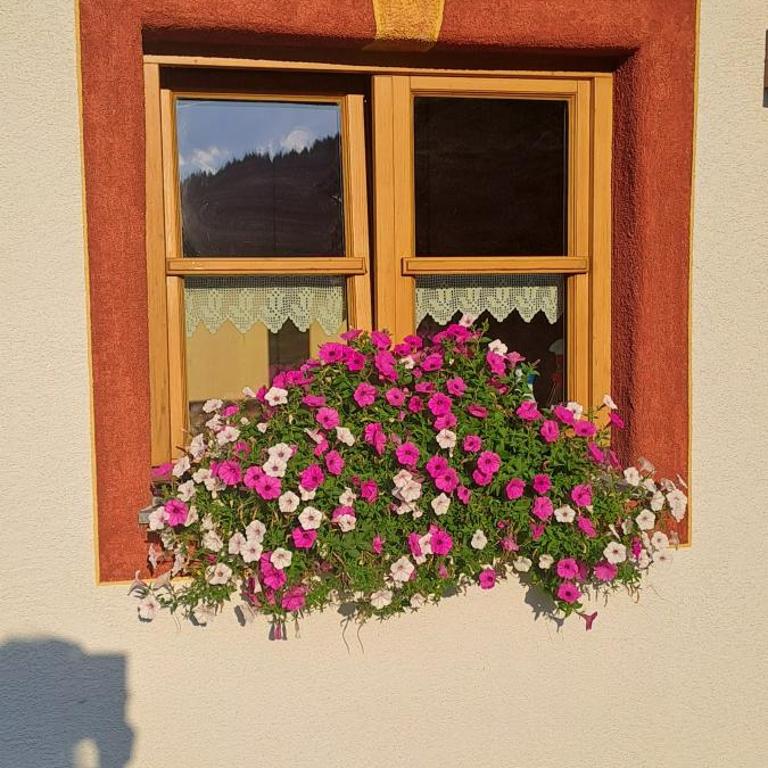 Ferienwohnung Steinernes Meer - Deluxe-Apartment mit 2 Schlafzimmern und Gartenblick - 24