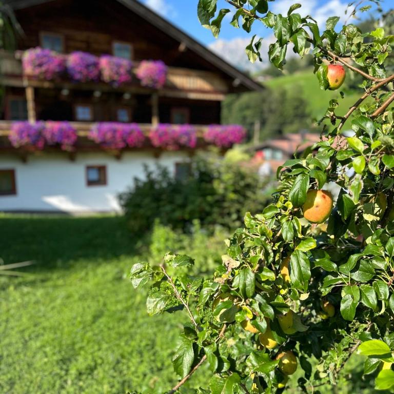 Ferienwohnung Steinernes Meer - Deluxe-Apartment mit 2 Schlafzimmern und Gartenblick - 20