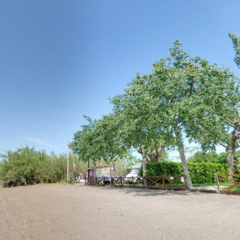 Camping Massimo - Bungalow con Patio - 9