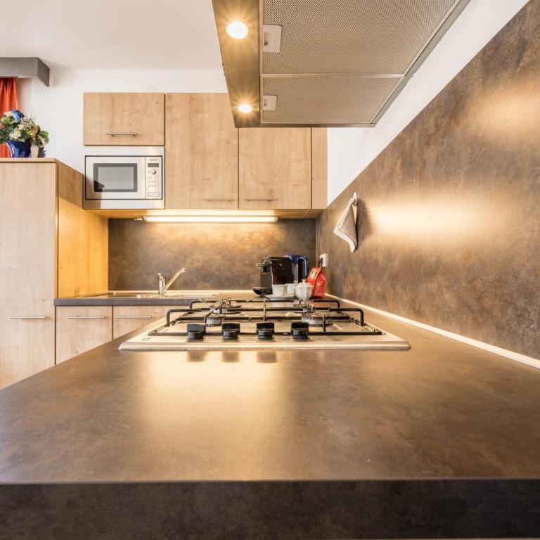 Manuel's App Watschinger -Edelweiss - Apartamento Premium de 3 dormitorios con balcón - 7