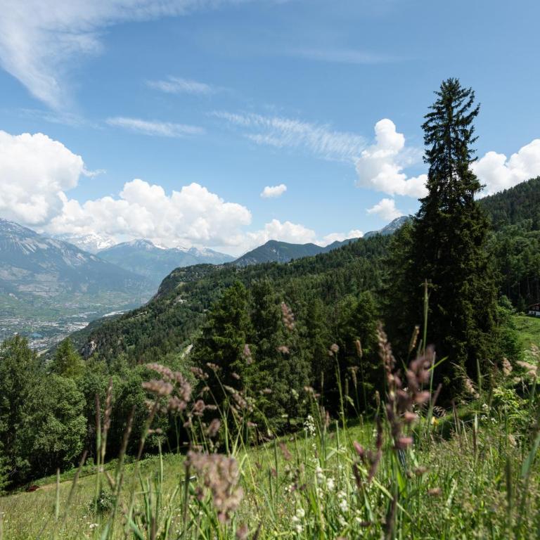 Les Tsablos- Mayen-Maiensäss in Vercorin, Valais - Ferienhaus - 21