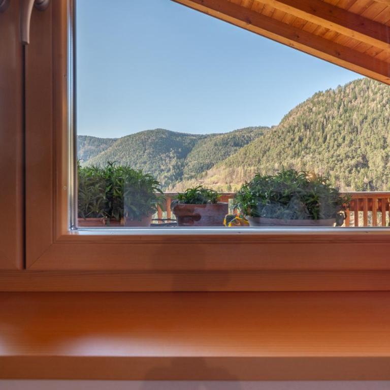 Kohlerhof Apartment - Apartamento Superior de 1 dormitorio con balcón - 21