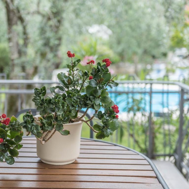 appartamento casa stefi n1 - Appartamento Deluxe con 2 Camere da Letto e Balcone - 6