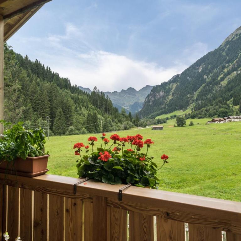 Ferienhaus Larch Soge Apt Helmuth - Superior One-Bedroom Apartment with Balcony - 2