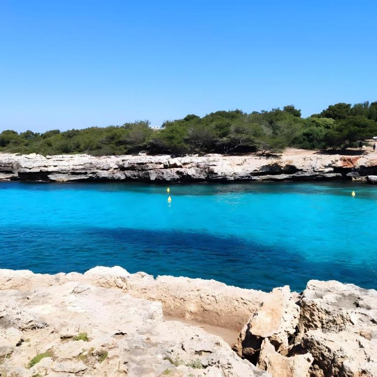 Apartamento Cala´n Bosch 1a Planta - Casa de 2 dormitorios - 27