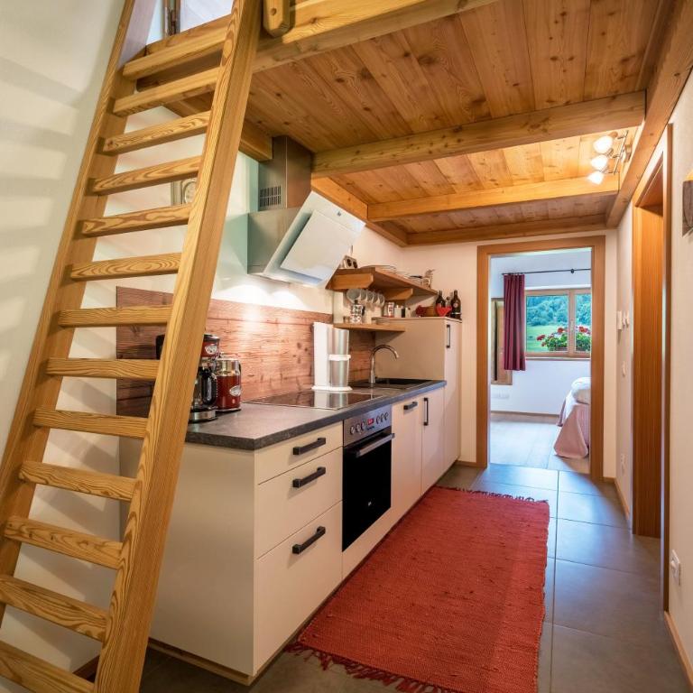 Ferienhaus Larch Soge Apt Helmuth - Superior One-Bedroom Apartment with Balcony - 11