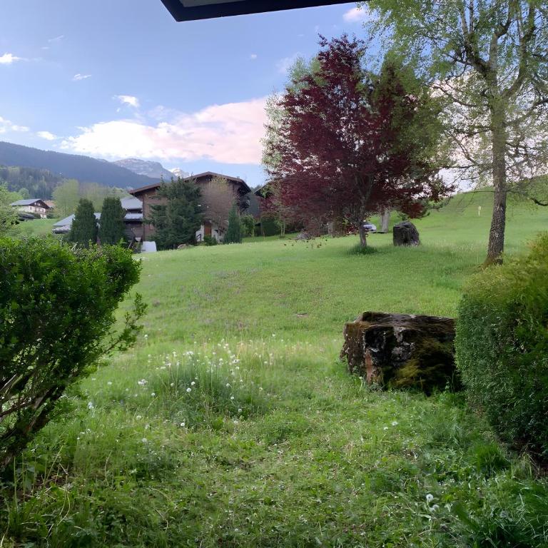 Appt de montagne Araches - Appartamento Deluxe con 2 Camere da Letto e Vista Giardino - 3