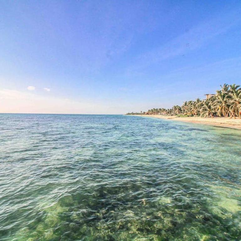 Beachfront home with private heated pool jacuzzi sauna ocean views & AC - 7th Heaven - Casa - 17