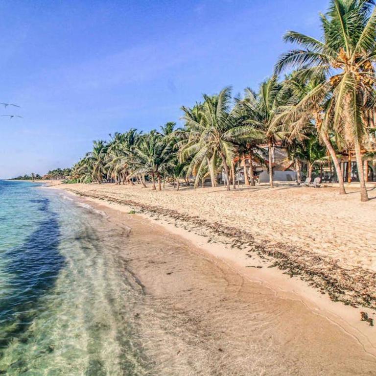 Beachfront home with private heated pool jacuzzi sauna ocean views & AC - 7th Heaven - Casa - 4