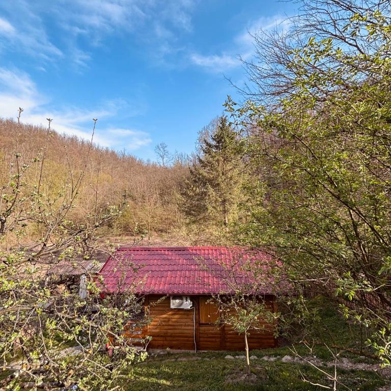 Brvnara Novičić - Apartman sa 1 Spavaćom Sobom - 19