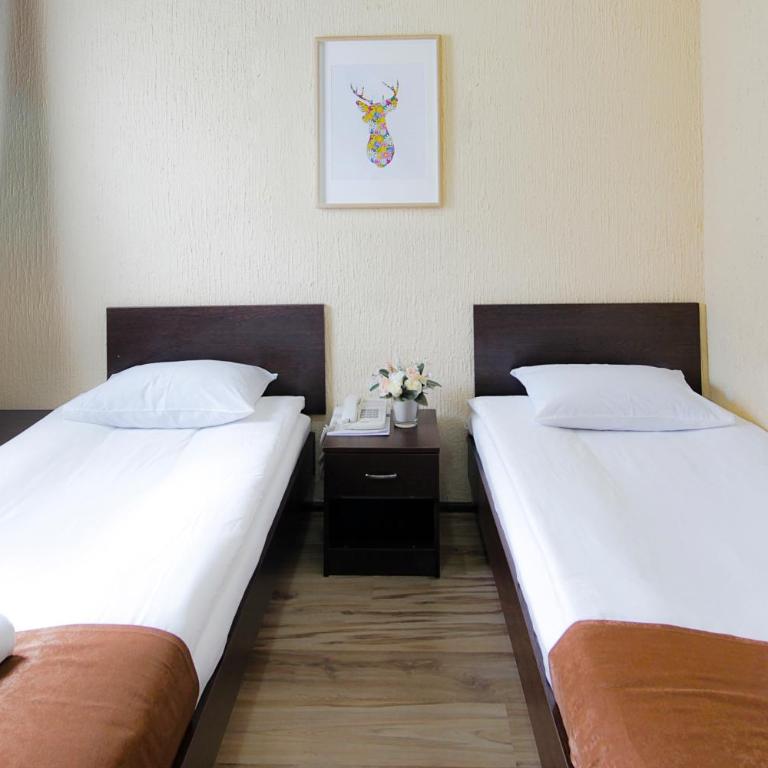 Guesthouse Junior - Economy Twin Room - 5