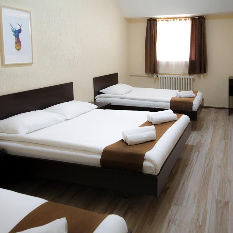 Guesthouse Junior - Economy Triple Room - 5