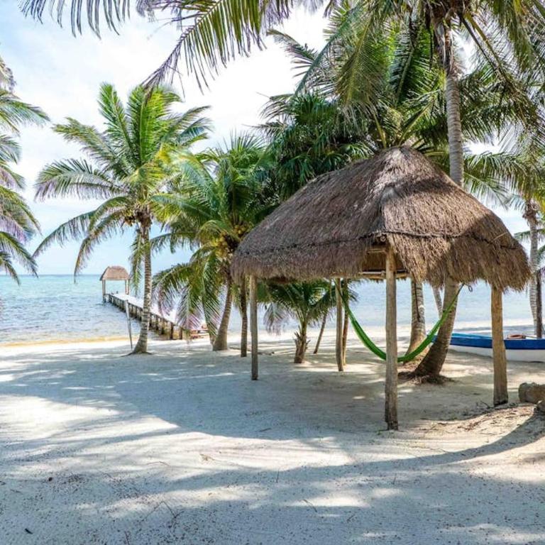Beachfront paradise with private pool ocean view full kitchen & shaded patio - Villa Mandala - Casa - 2