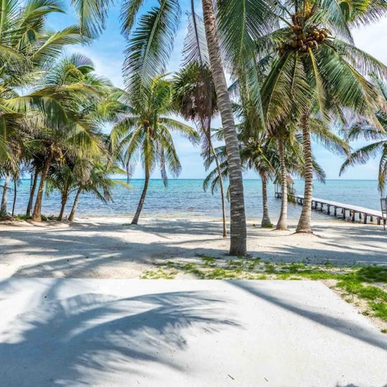 Beachfront paradise with private pool ocean view full kitchen & shaded patio - Villa Mandala - Casa - 15