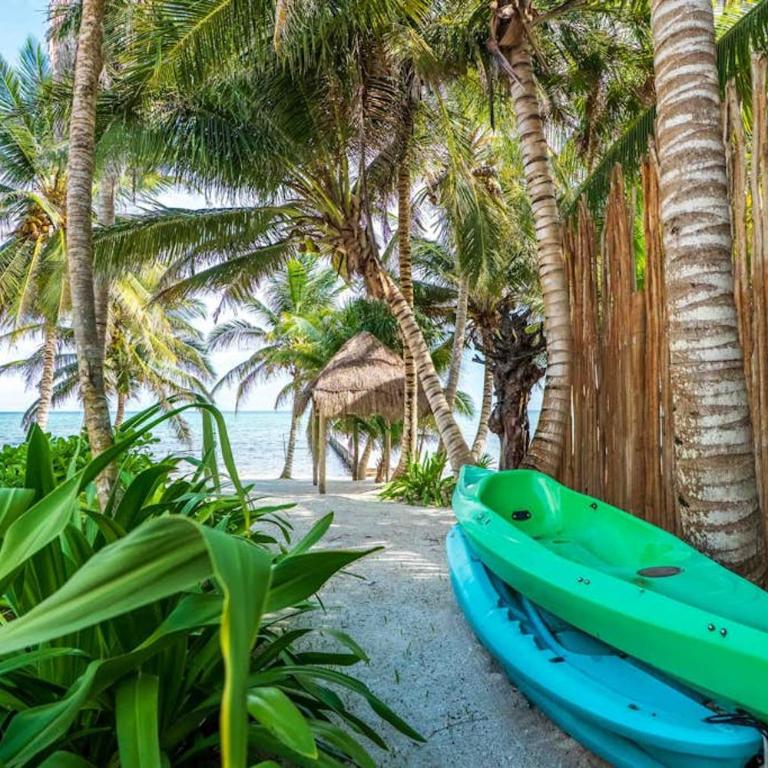 Beachfront paradise with private pool ocean view full kitchen & shaded patio - Villa Mandala - Casa - 17