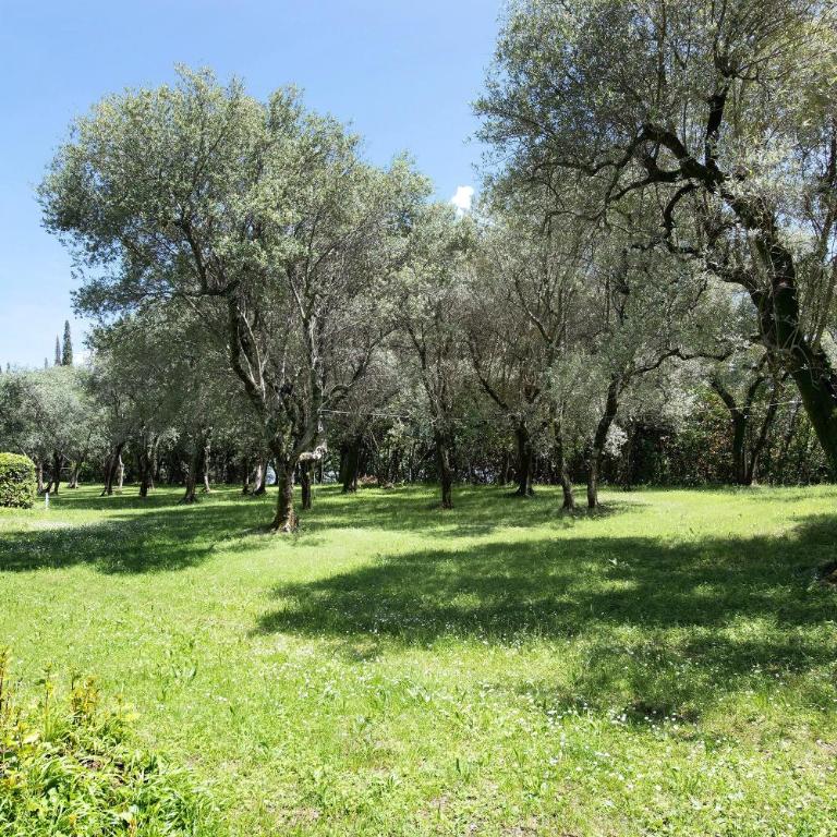 La casetta nel bosco Garda Lake - Monolocale con Terrazza - 23