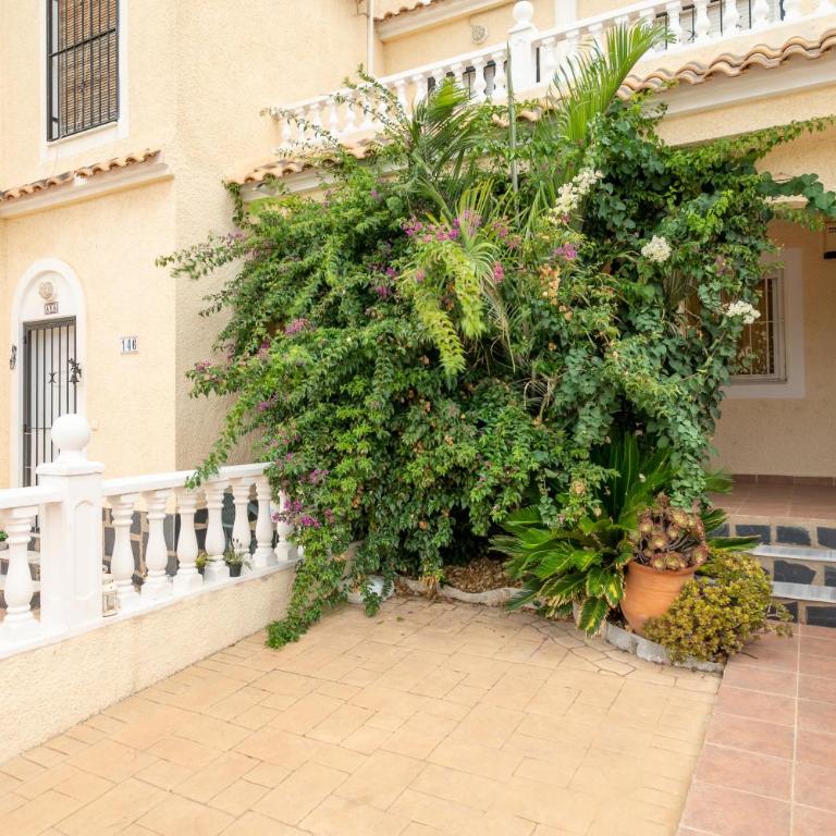 Bungalow 145 - Apartamento con terraza - 2
