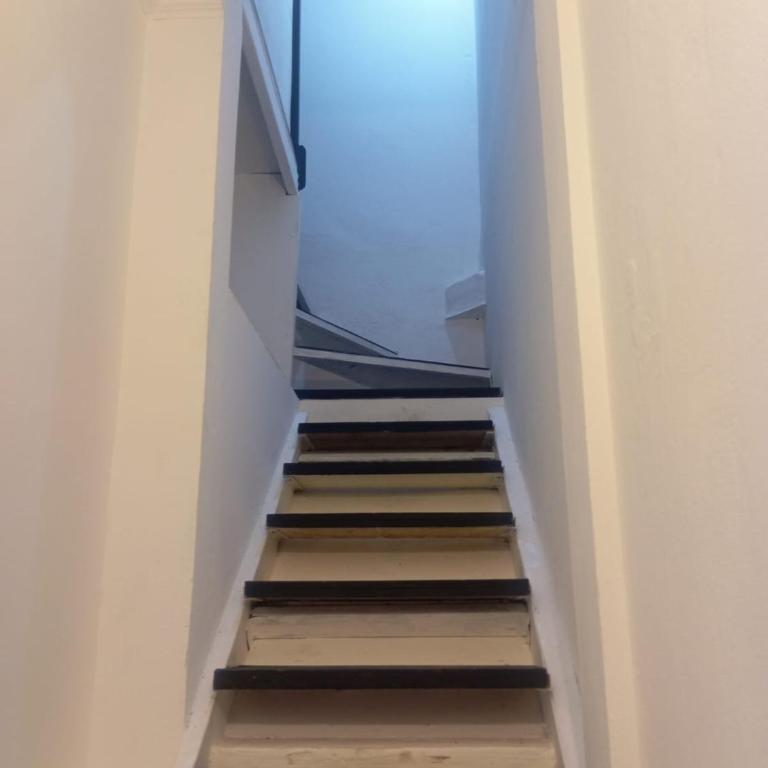 Monoambiente grande y luminoso en el bosque de La Plata - Apartamento de 1 dormitorio - 14