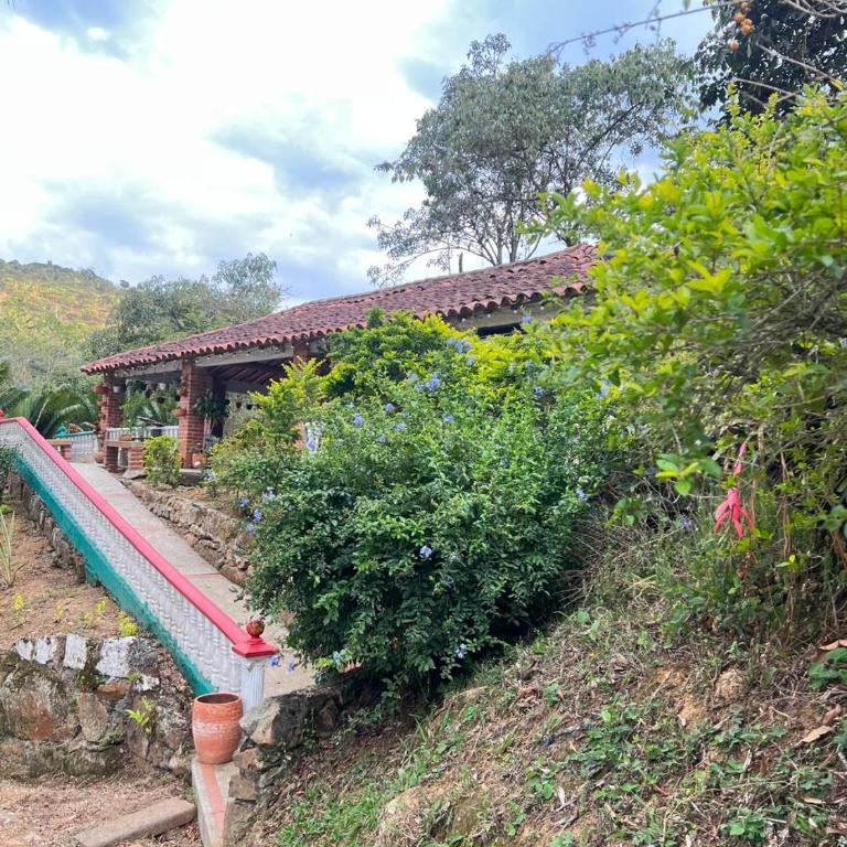 Alegría Lodge - Habitación Doble - 20