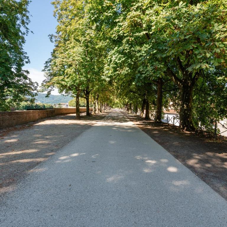 Appartamento Finestra sulle Mura - Superior Apartment with City View - 16