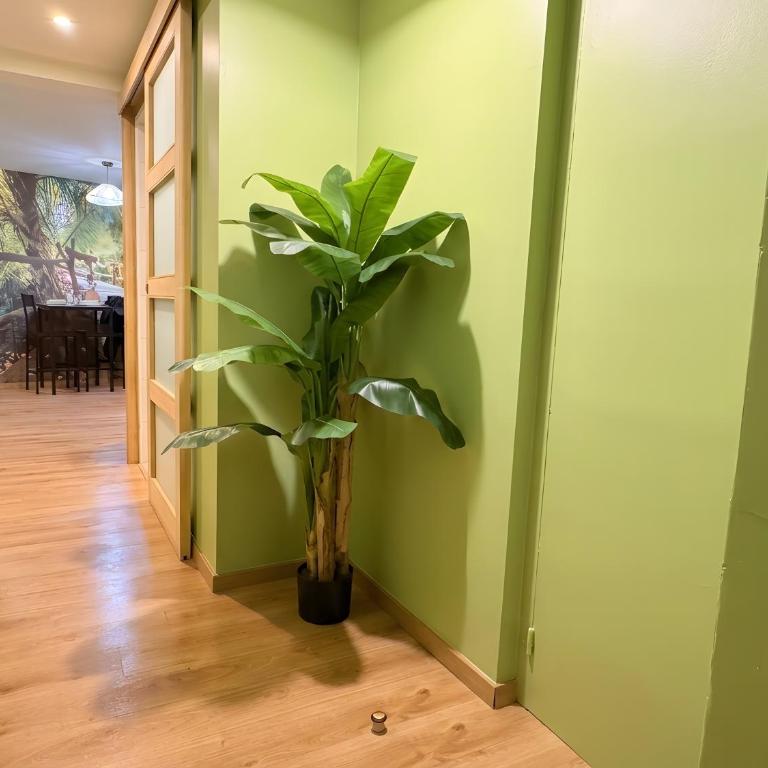 JUNGLE SAKURA - 2-4 Pers - Centre - Clim by Narbana - Apartment mit 1 Schlafzimmer - 13