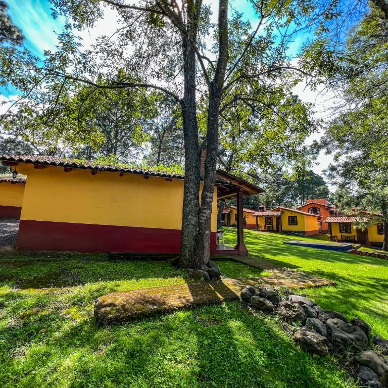 Cabañas Rosy - Cabaña (2 adultos) - 12