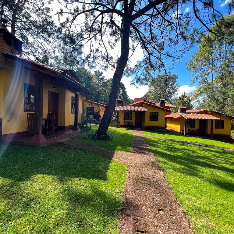 Cabañas Rosy - Cabaña (2 adultos) - 15