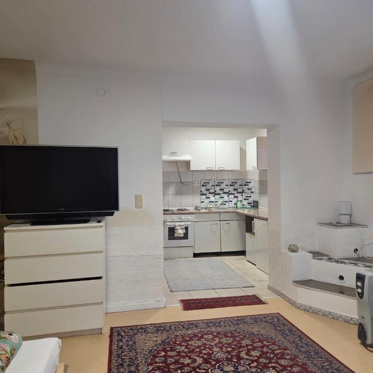 Maya's Easy Apartment Graz - Apartment - Erdgeschoss - 2